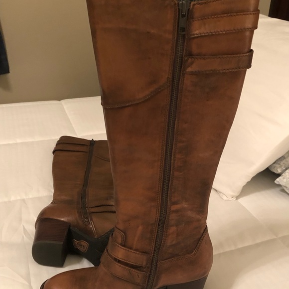 born cotto tall boot